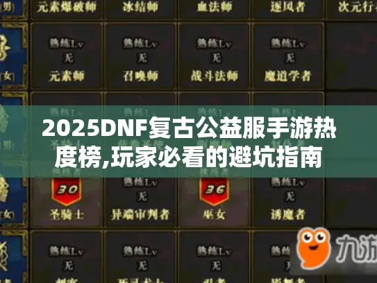 2025DNF复古公益服手游热度榜,玩家必看的避坑指南