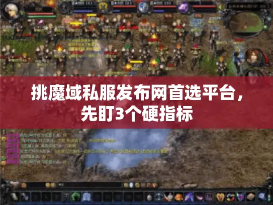 挑魔域私服发布网首选平台，先盯3个硬指标