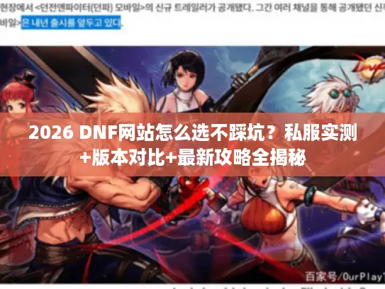 2026 DNF网站怎么选不踩坑？私服实测+版本对比+最新攻略全揭秘