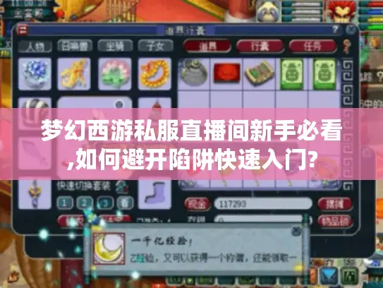 梦幻西游私服直播间新手必看,如何避开陷阱快速入门?