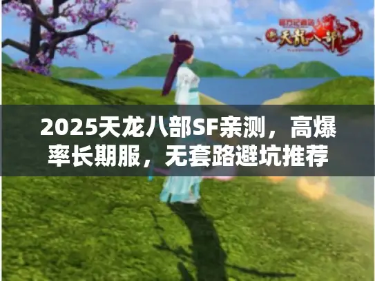 2025天龙八部SF亲测，高爆率长期服，无套路避坑推荐