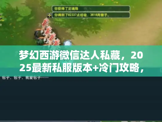 梦幻西游微信达人私藏，2025最新私服版本+冷门攻略，老玩家都在找？