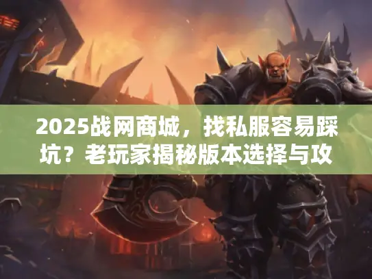 2025战网商城，找私服容易踩坑？老玩家揭秘版本选择与攻略干货