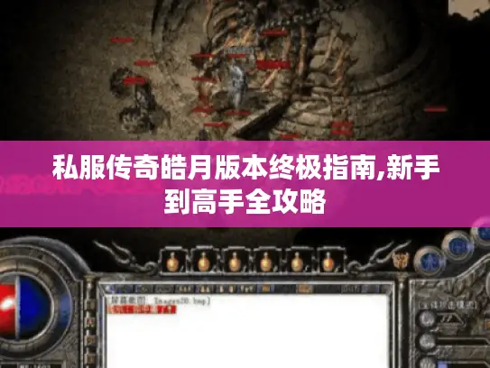 私服传奇皓月版本终极指南,新手到高手全攻略