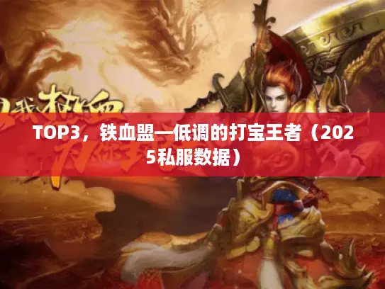 TOP3，铁血盟—低调的打宝王者（2025私服数据）
