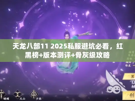 天龙八部11 2025私服避坑必看,红黑榜+版本测评+骨灰级攻略 天龙八部11 2025私服避坑必看,红黑榜+版本测评+骨灰级攻略