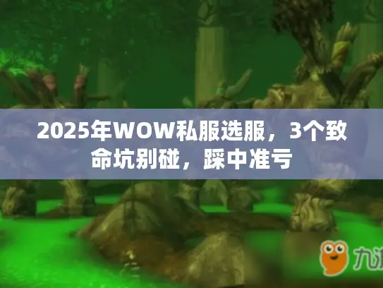 2025年WOW私服选服,3个致命坑别碰,踩中准亏 2025年WOW私服选服,3个致命坑别碰,踩中准亏