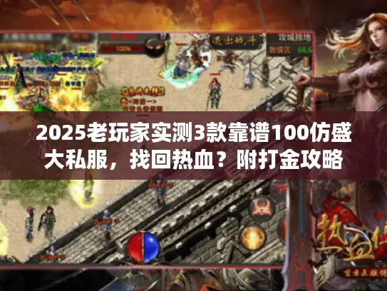 2025老玩家实测3款靠谱100仿盛大私服，找回热血？附打金攻略