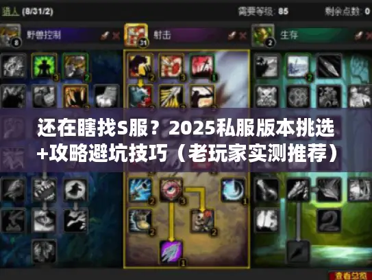 还在瞎找S服？2025私服版本挑选+攻略避坑技巧（老玩家实测推荐）