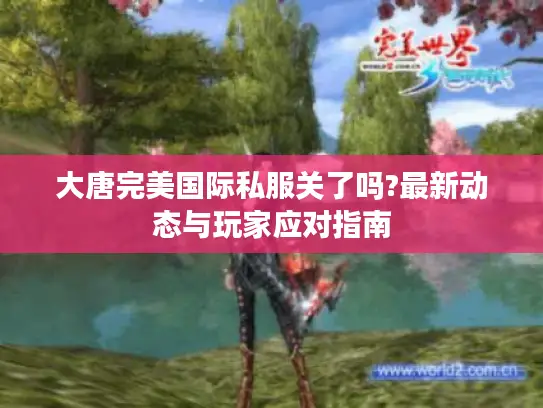 大唐完美国际私服关了吗?最新动态与玩家应对指南