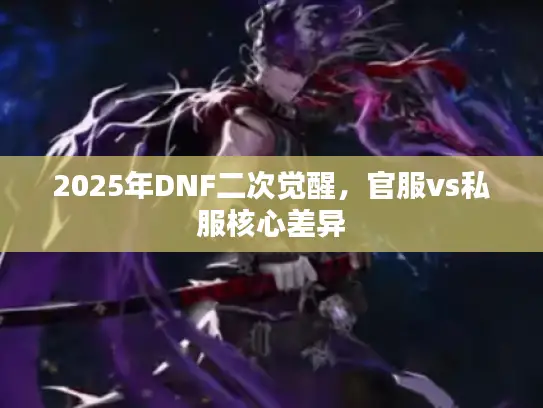 2025年DNF二次觉醒，官服vs私服核心差异