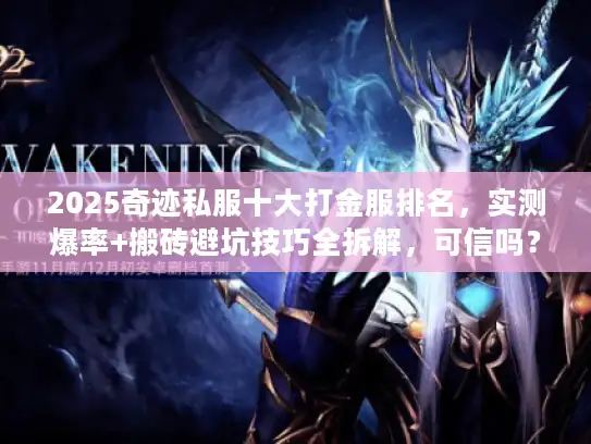 2025奇迹私服十大打金服排名，实测爆率+搬砖避坑技巧全拆解，可信吗？