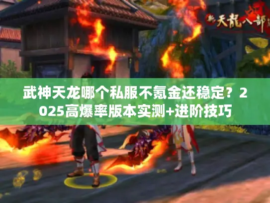 武神天龙哪个私服不氪金还稳定？2025高爆率版本实测+进阶技巧