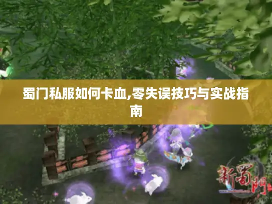 蜀门私服如何卡血,零失误技巧与实战指南 蜀门私服如何卡血,零失误技巧与实战指南