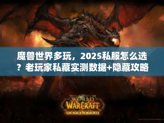 魔兽世界多玩，2025私服怎么选？老玩家私藏实测数据+隐藏攻略全公开