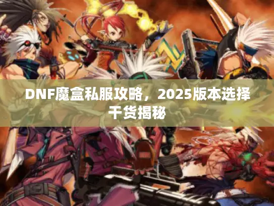 DNF魔盒私服攻略，2025版本选择干货揭秘