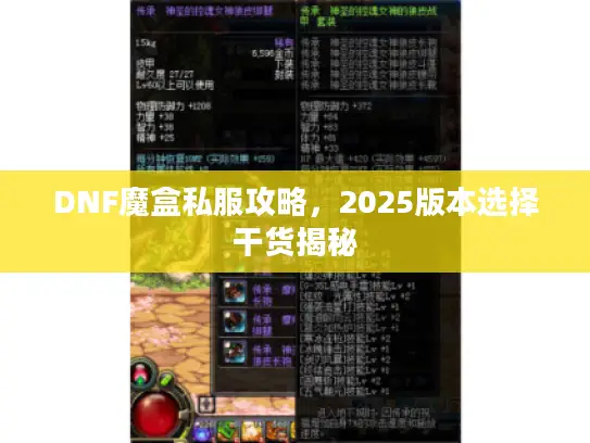 DNF魔盒私服攻略，2025版本选择干货揭秘