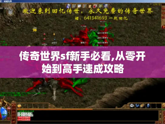 传奇世界sf新手必看,从零开始到高手速成攻略