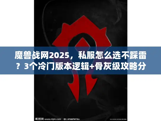 魔兽战网2025，私服怎么选不踩雷？3个冷门版本逻辑+骨灰级攻略分享