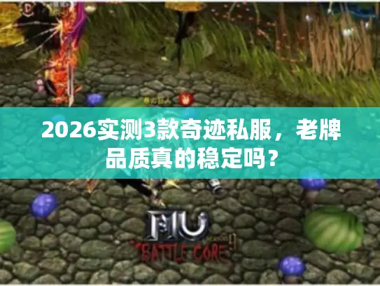 2026实测3款奇迹私服，老牌品质真的稳定吗？