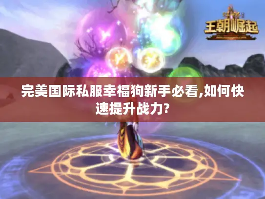 完美国际私服幸福狗新手必看,如何快速提升战力? 完美国际私服幸福狗新手必看,如何快速提升战力?