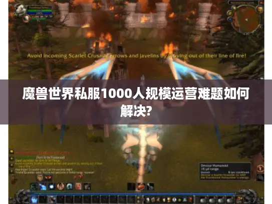魔兽世界私服1000人规模运营难题如何解决?
