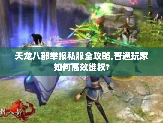 天龙八部举报私服全攻略,普通玩家如何高效维权?