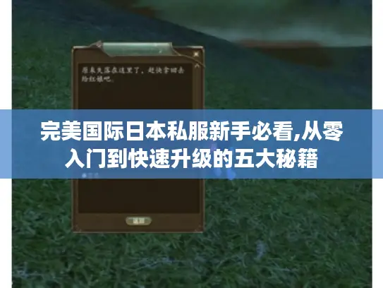 完美国际日本私服新手必看,从零入门到快速升级的五大秘籍 完美国际日本私服新手必看,从零入门到快速升级的五大秘籍