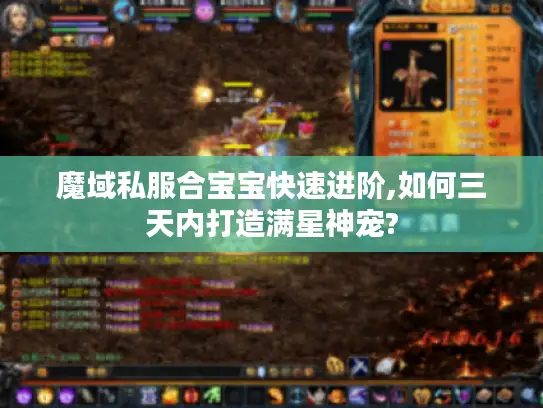 魔域私服合宝宝快速进阶,如何三天内打造满星神宠?