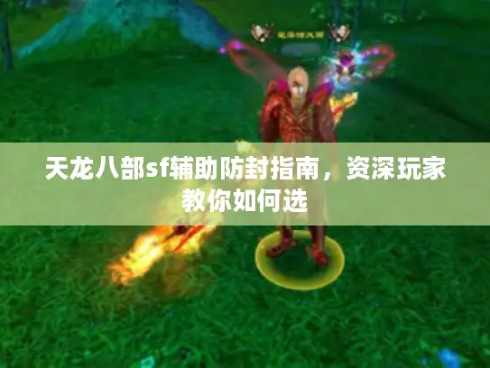 天龙八部sf辅助防封指南，资深玩家教你如何选