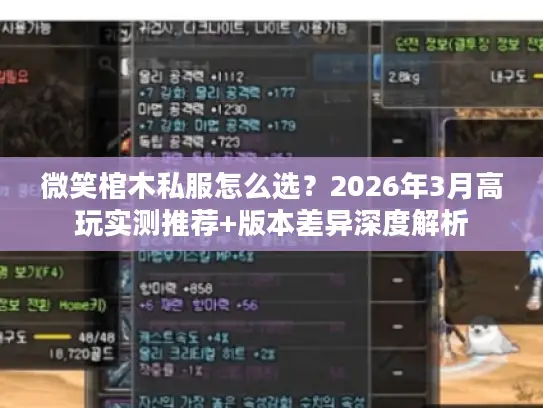 微笑棺木私服怎么选?2026年3月高玩实测推荐+版本差异深度解析 微笑棺木私服怎么选?2026年3月高玩实测推荐+版本差异深度解析