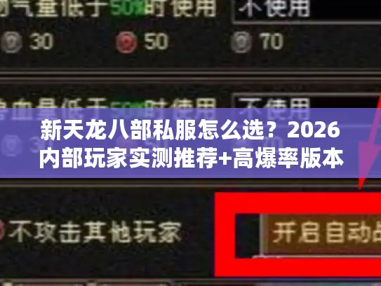 新天龙八部私服怎么选？2026内部玩家实测推荐+高爆率版本开服表