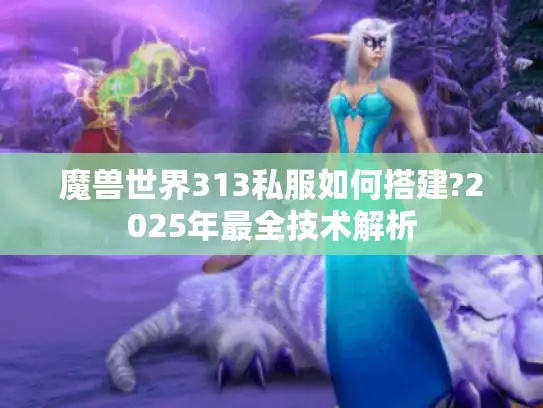 魔兽世界313私服如何搭建?2025年最全技术解析