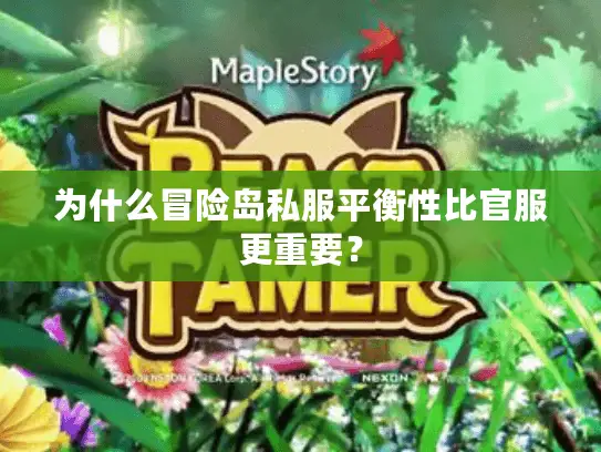 为什么冒险岛私服平衡性比官服更重要？