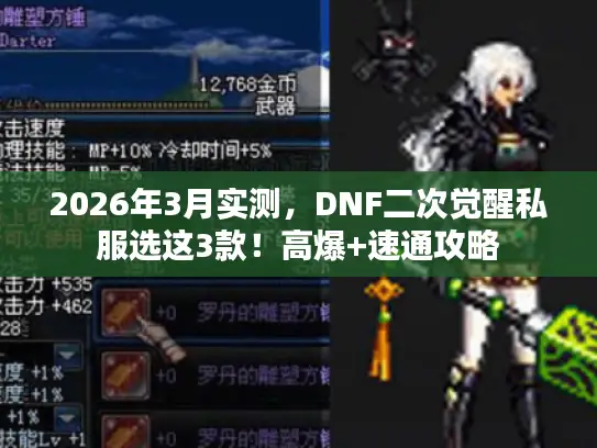2026年3月实测，DNF二次觉醒私服选这3款！高爆+速通攻略