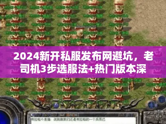 2024新开私服发布网避坑，老司机3步选服法+热门版本深度测评