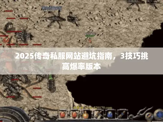 2025传奇私服网站避坑指南，3技巧挑高爆率版本