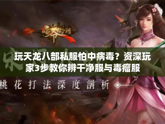 玩天龙八部私服怕中病毒？资深玩家3步教你辨干净服与毒瘤服