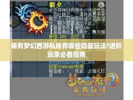 稀有梦幻西游私服有哪些隐藏玩法?进阶玩家必看指南