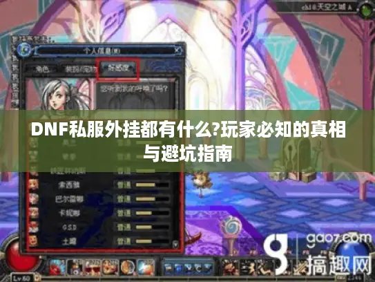 DNF私服外挂都有什么?玩家必知的真相与避坑指南