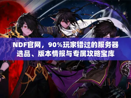 NDF官网，90%玩家错过的服务器选品、版本情报与专属攻略宝库