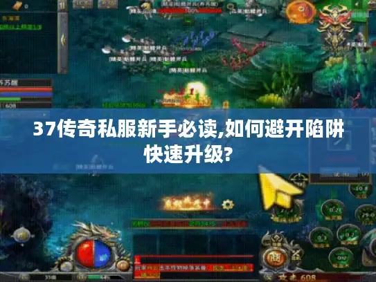 37传奇私服新手必读,如何避开陷阱快速升级?