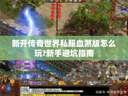 新开传奇世界私服血煞版怎么玩?新手避坑指南