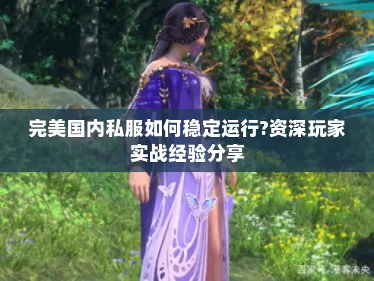 完美国内私服如何稳定运行?资深玩家实战经验分享 完美国内私服如何稳定运行?资深玩家实战经验分享