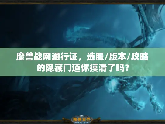 魔兽战网通行证，选服/版本/攻略的隐藏门道你摸清了吗？