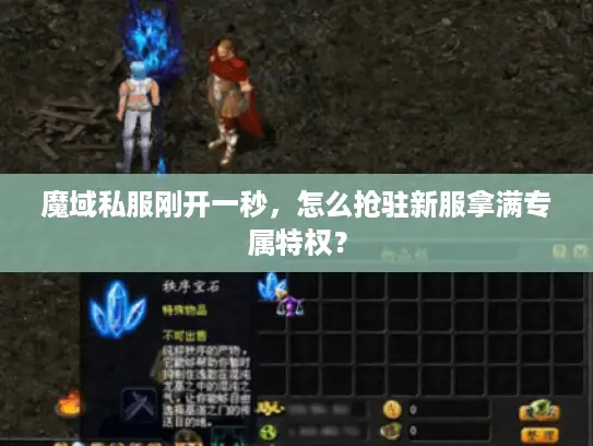 魔域私服刚开一秒,怎么抢驻新服拿满专属特权? 魔域私服刚开一秒,怎么抢驻新服拿满专属特权?