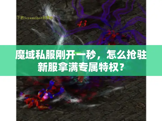 魔域私服刚开一秒,怎么抢驻新服拿满专属特权? 魔域私服刚开一秒,怎么抢驻新服拿满专属特权?