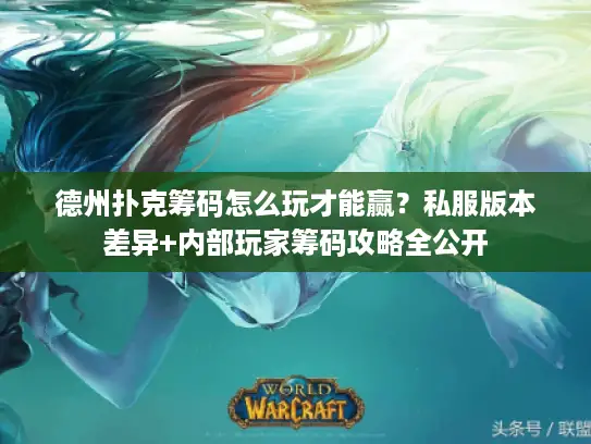 德州扑克筹码怎么玩才能赢？私服版本差异+内部玩家筹码攻略全公开