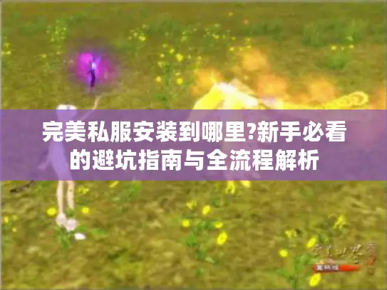 完美私服安装到哪里?新手必看的避坑指南与全流程解析 完美私服安装到哪里?新手必看的避坑指南与全流程解析