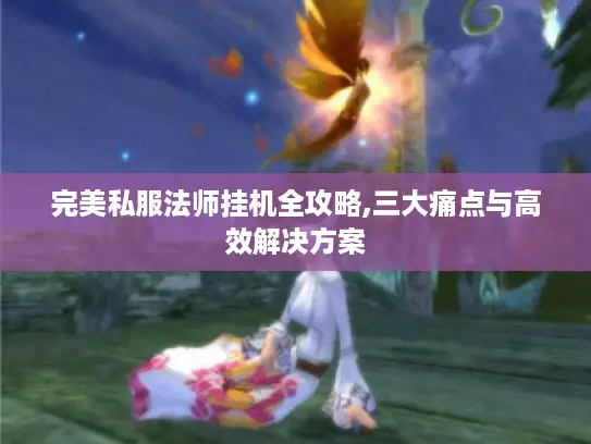 完美私服法师挂机全攻略,三大痛点与高效解决方案